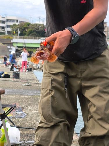 西湘サーフ