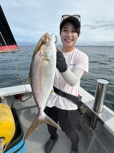 シオの釣果