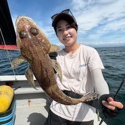 イネゴチ