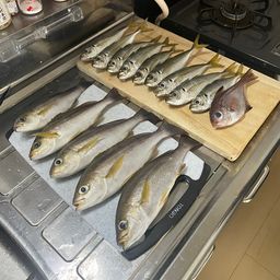 イサキ