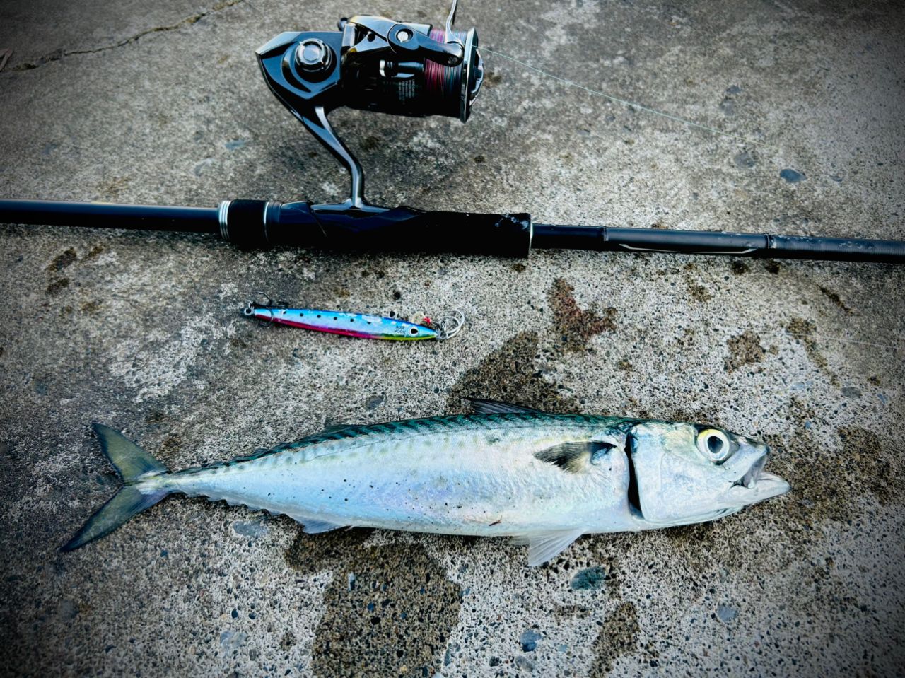 SHIMANO 18ディアルーナ S100MHの最安値・インプレ・釣果 | 本音