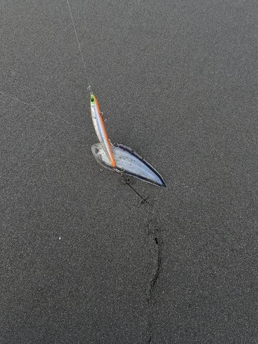 野田海岸