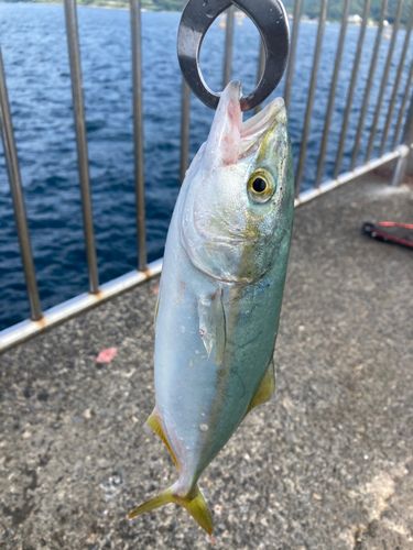 鞠山海遊パーク