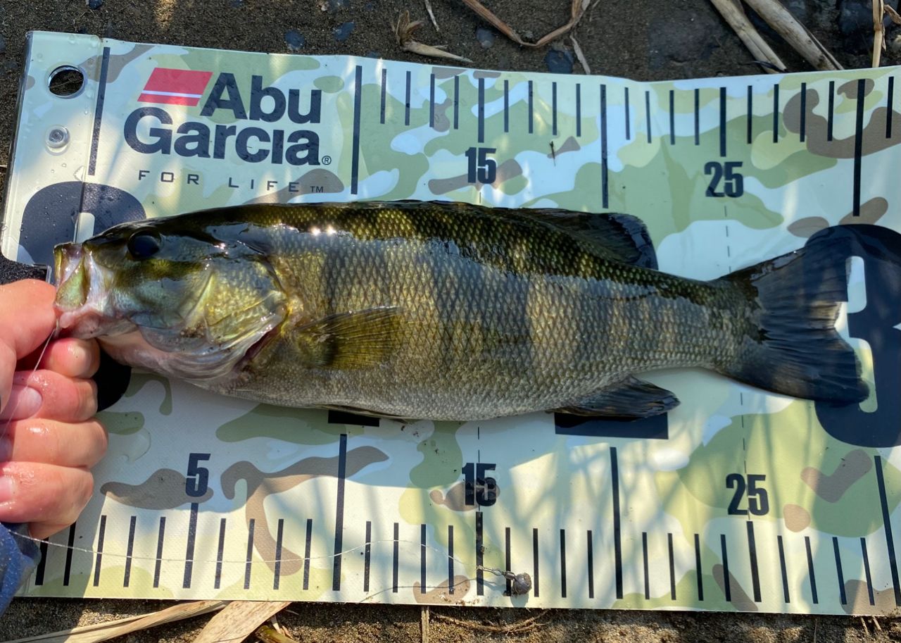 AbuGarcia クロスフィールド XRFC-654ML-BF-MBの最安値