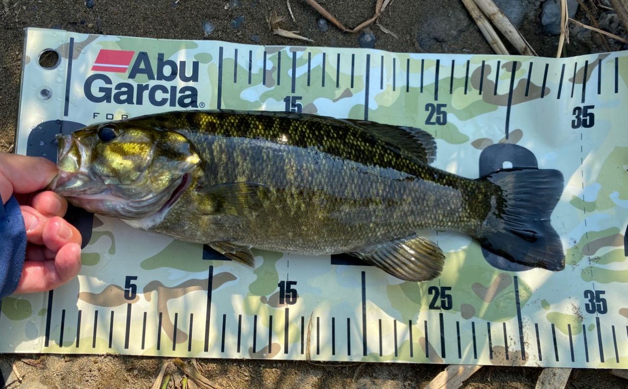 AbuGarcia クロスフィールド XRFC-654ML-BF-MBの最安値・インプレ