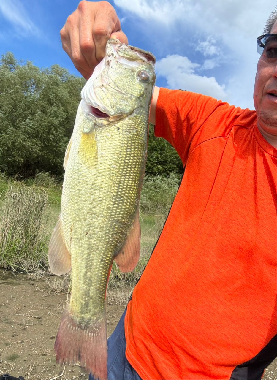 22 タトゥーラ 80XHL 左巻き ギア比8.1 ダイワ TATULA 22 タトゥーラ 80XHL 左巻き ギア比8.1 ダイワ TATULA ダイワ ベイト