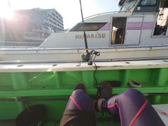 タチウオの釣果