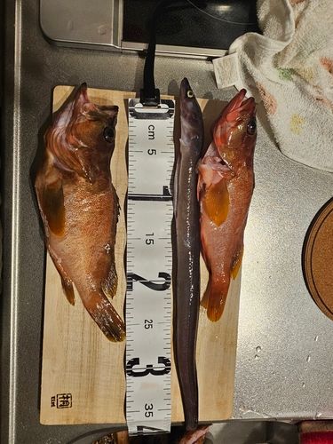 西伊豆