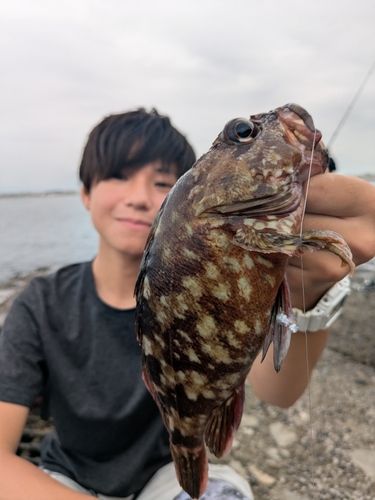 江ノ島裏磯