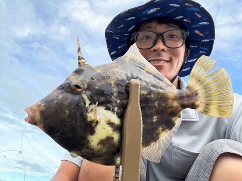 八代海
