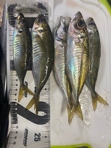 天津漁港