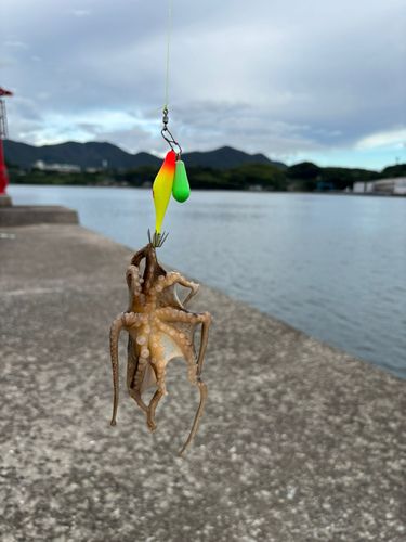時津港