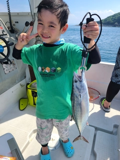 ハガツオの釣果