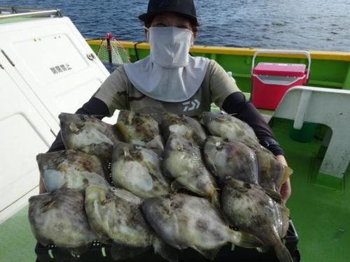 カワハギの釣果