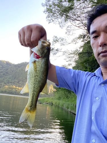 中沢ワンド