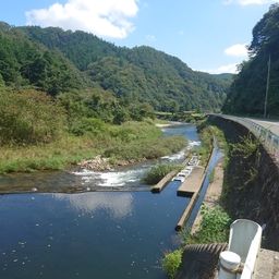 アユ