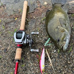 スモールマウスバス