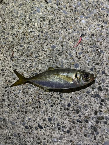 本牧