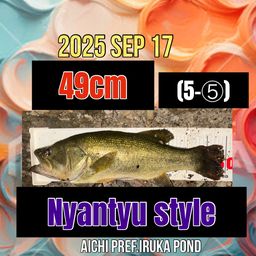 ラージマウスバス