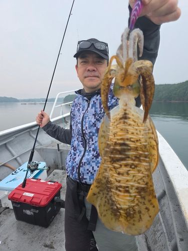 英虞湾