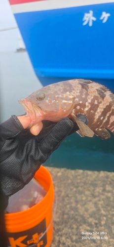 青森湾