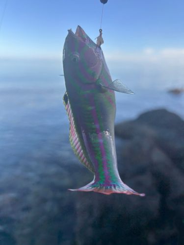 沖縄本島北部