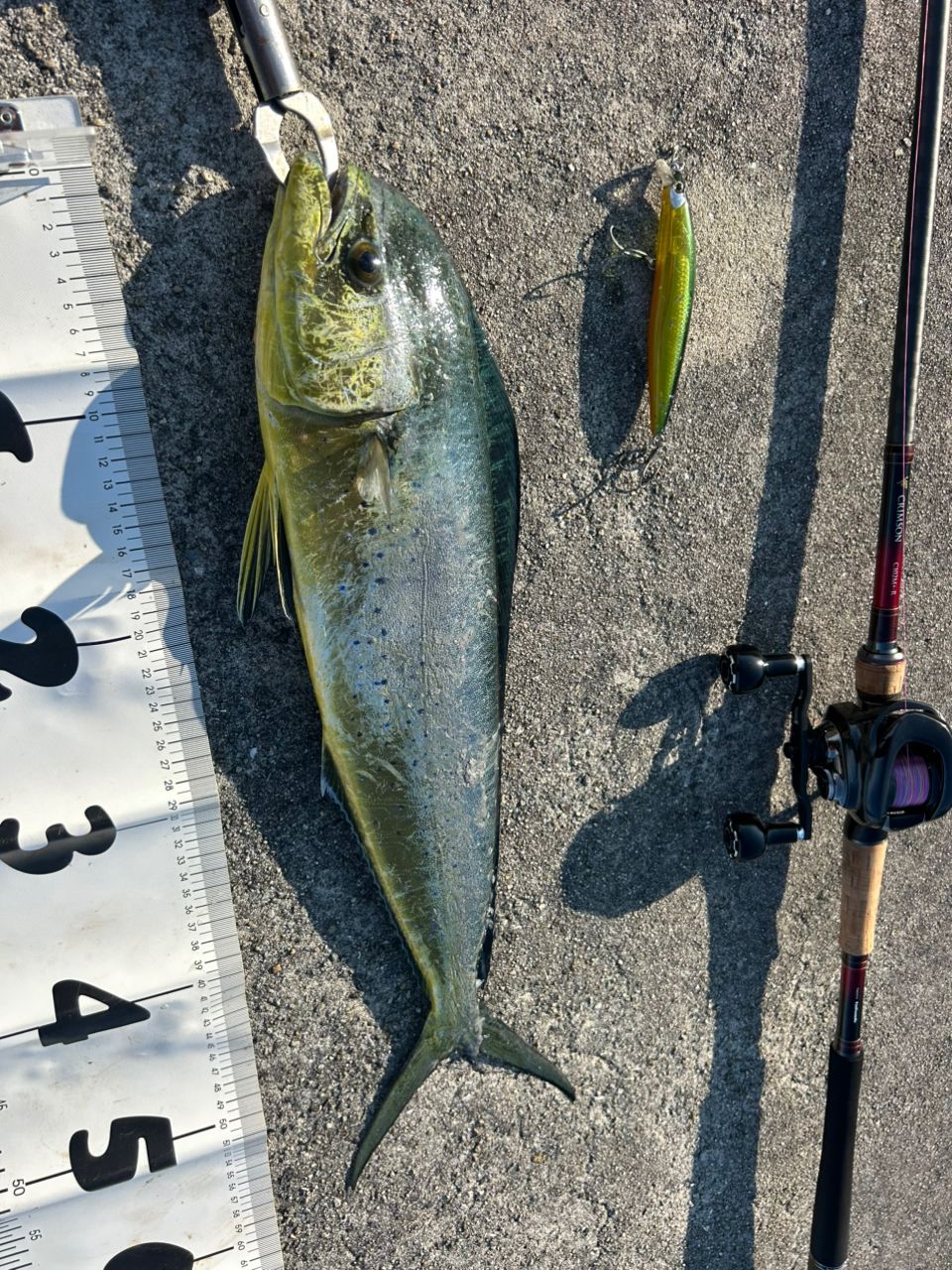 tailwalk クリムゾン C102M+-Rの最安値・インプレ・釣果 | 本音