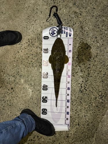 常滑りんくう釣り護岸
