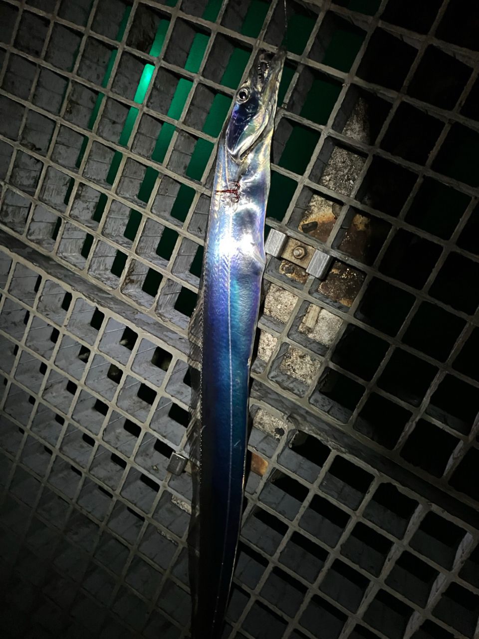 アジ
