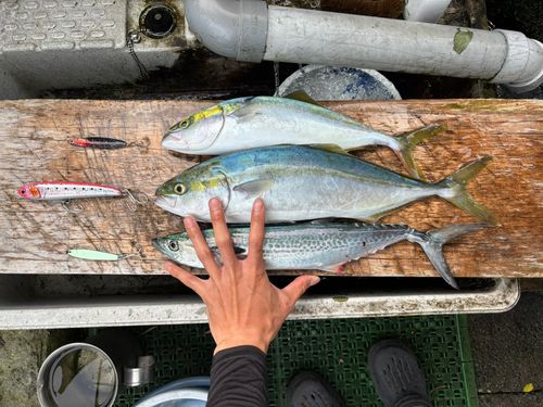 石津浜