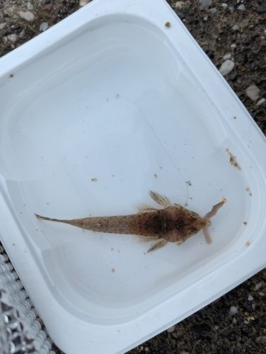 うみかぜ公園付近