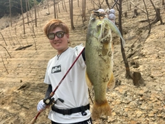 ブラックバスの釣果