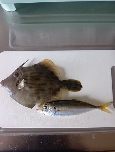アジュール舞子