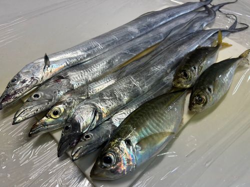 和歌浦湾