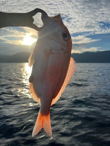 越前海岸