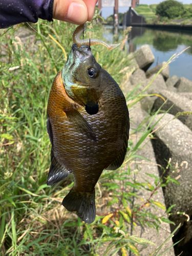 荒川温泉