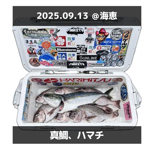 タイの釣果