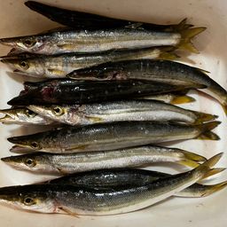 カマス