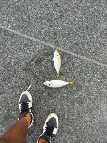 日立沖