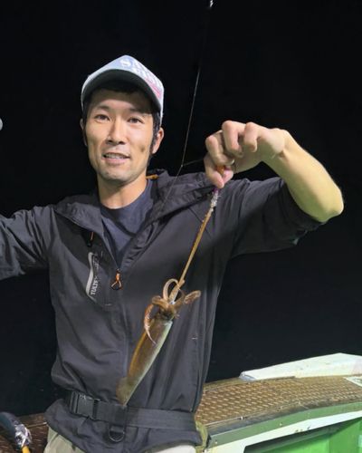 綾里湾