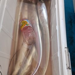 タチウオ