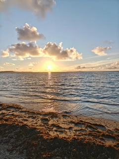 ロウニンアジの釣果