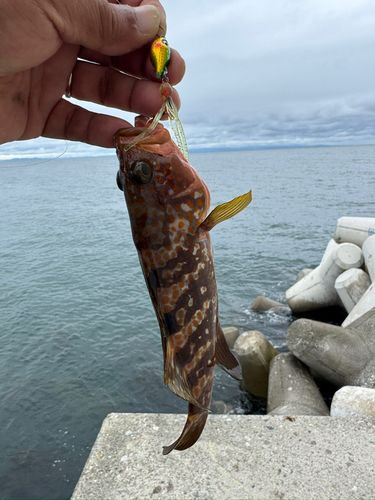 魚津漁港