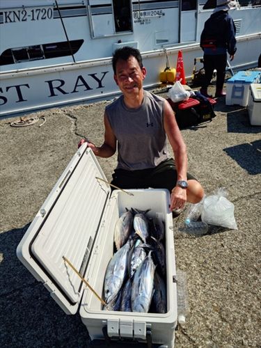 カツオの釣果