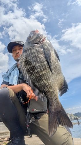 浦戸湾