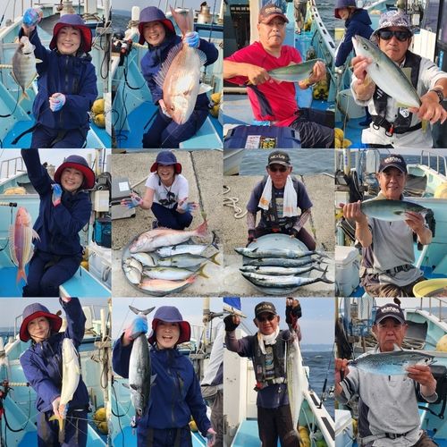 サワラの釣果