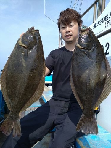 ヒラメの釣果