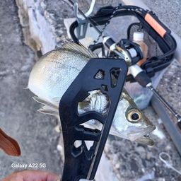 セイゴ（ヒラスズキ）