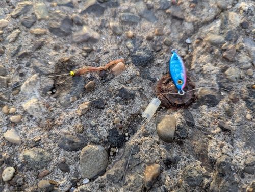 若洲海浜公園海釣り施設