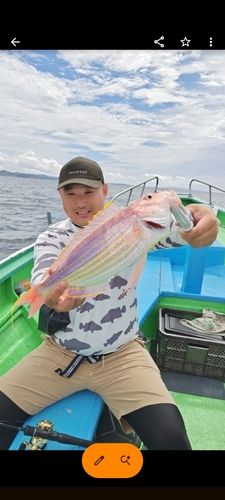 大貫沖